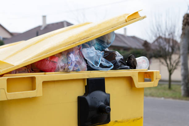 Best Recycling Services for Junk  in Maplewood, WA